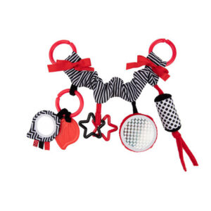 CANPOL BABIES iekarināmā rotaļlieta Sensory Toys, 68/071_red