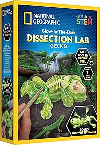 NATIONAL GEOGRAPHIC komplekts Glow in the Dark Gecko Dissection Lab, RTGECKOLAB